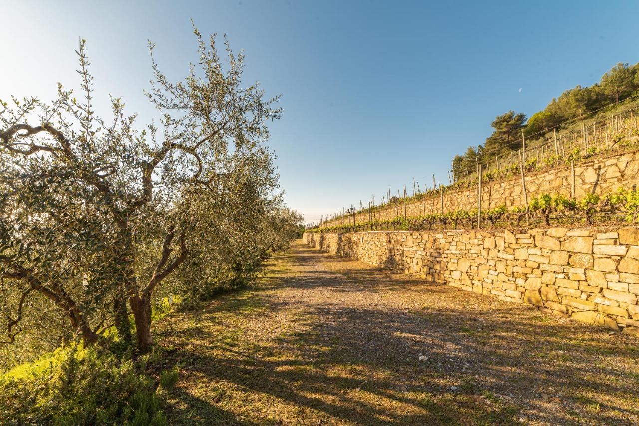 Casetta Mari Immersa In Un Vigneto Dolceacqua Kültér fotó