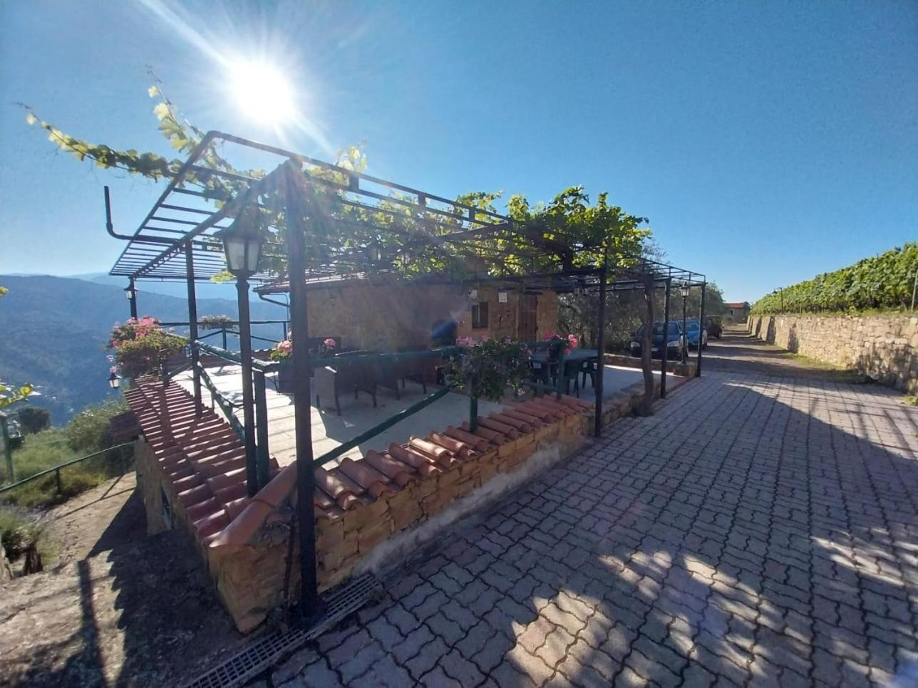 Casetta Mari Immersa In Un Vigneto Dolceacqua Kültér fotó